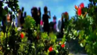 Tom Jones- Lust For Life.divx