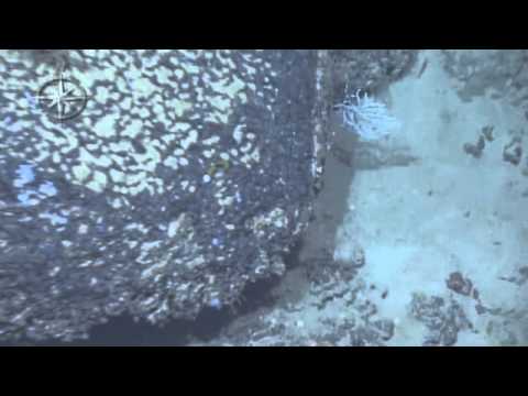 Alboran Sea Exploration | Nautilus Live