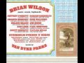 BRIAN WILSON - Wonderful + Song For Children + Child Is Father Of The Man
