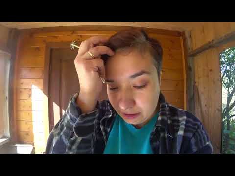 Выбивает напряжение / Посадка лилий и тюльпанов / Как прижилась клубника из питомника? // Elena Pero