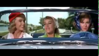 Elvis Presley   Spring Fever