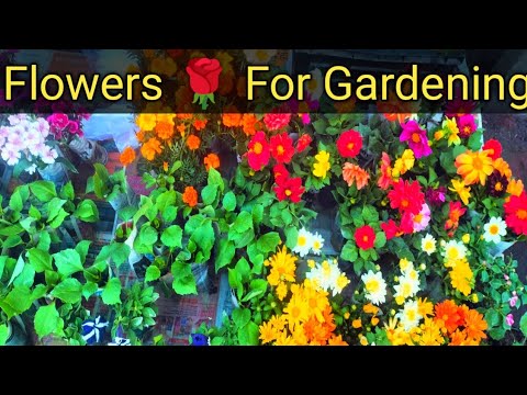 , title : 'Variety types of Beautiful flowers gardening #flowers#gardening#viral'