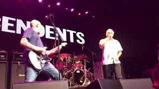 Descendents -Silly Girl