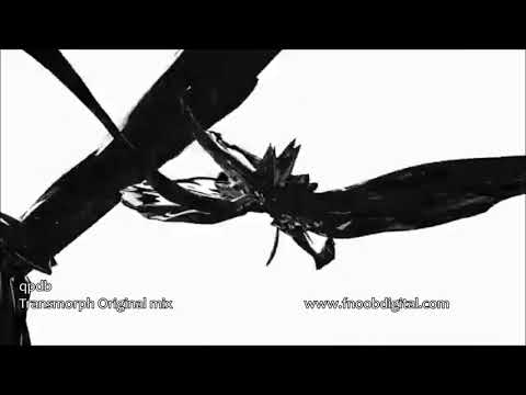 qpdb Transphorm FNOOB DiGiTAL 12