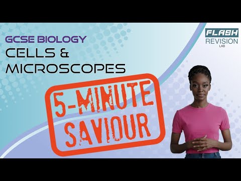 5-Minute GCSE Biology: Cells & Microscopes | Eukaryotes, Prokaryotes, Plant & Animal Cells