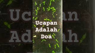 Download lagu ucapan adalah doa #motivasidiri #quotes #motivasihidup #katabijak #motivasi #shortvideo #futuretech mp3 Download lagu ucapan adalah doa #motivasidiri #quotes #motivasihidup #katabijak #motivasi #shortvideo #futuretech mp3