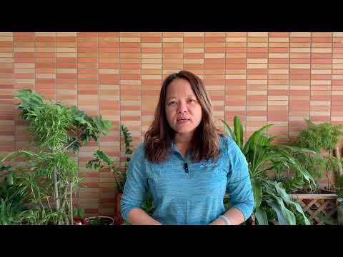 谷關受傷小熊救援中-東勢林區管理處育樂課課長洪幸攸說明