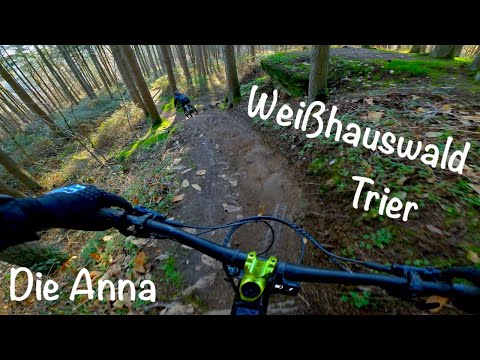 Weißhauswald Trier - Die Anna - Dezember 2022
