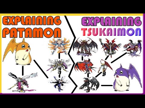 Explaining Digimon: PATAMON DIGIVOLVE LINE [Digimon Conversation #5] Video
