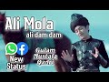 13 Rajab New Whatsapp Status 2021 Wiladat E Mola Ali Whatsapp Status Mola Ali Status Ali Mola