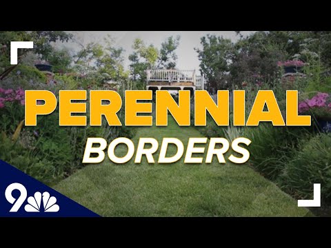 Tips for adding a perennial border to your garden