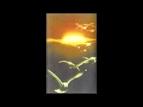 Thoughts on Air - Mallo Yallo (2010)