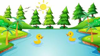 Ducky Boys Swimming in the river
