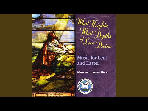 What Brought Us Together