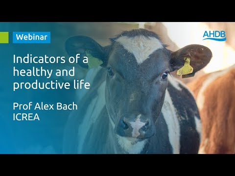 Indicators of a healthy and productive life in dairy herds