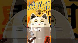 熱異常 / ニャンヤオチュー 歌ってみた #shorts