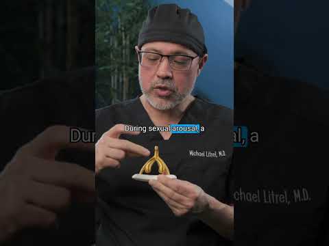 Clitoris Beyond The Surface