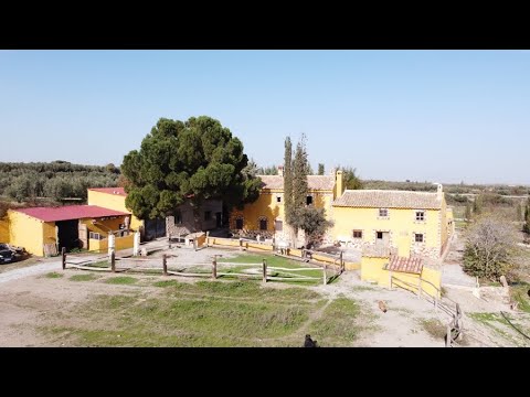 video image