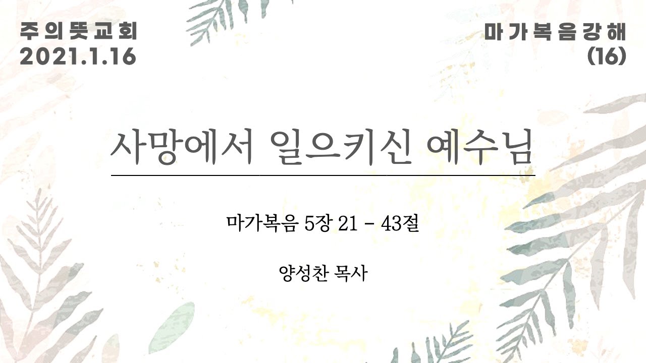 마가복음 강해(16), 사망에서 일으키신 예수님 , 마가복음 5장 21 - 43절, 양성찬 목사, 주의뜻교회 영상 썸네일