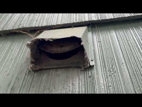 Ignored Broken Exhaust Vents Invites Mice Inside Home in Middlesex, NJ