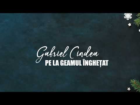 Gabriel Cîndea - Pe la geamul înghețat