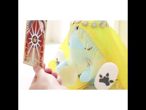 美術学科 BOCU