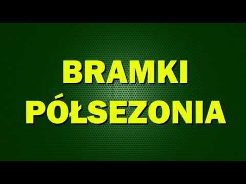 Bramki półsezonia (rundy) - głosowanie