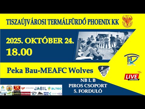 Tiszaújvárosi Termálfürdő Phoenix KK - Peka Bau-MEAFC Wolves