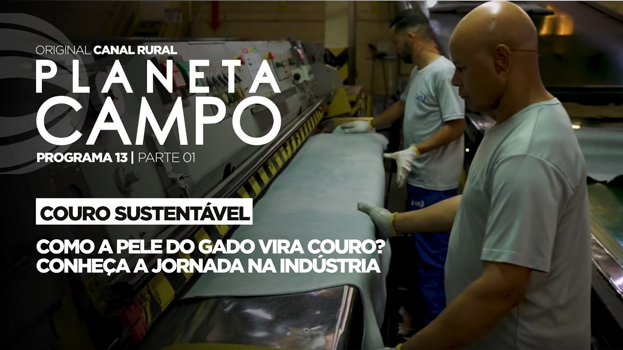 Como a pele do gado vira couro? Conheça a jornada na indústria  | Planeta Campo - ep.13 parte 1