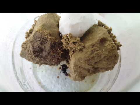 Glass jar for Queen ant, part 2