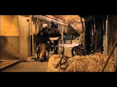 EXTRAIT - Sébastien Guarato, les raisons d'un succès - Equidia Live