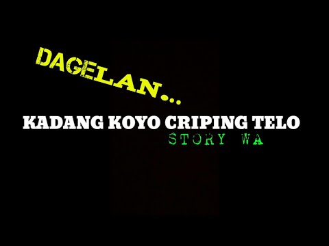 DAGELAN JOWO 003 STORY WA