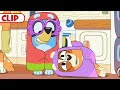 Bluey Grannies Janet and Rita 👵🐶 | Compilation | @disneyjunior