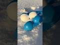️This Is How You Make The PERFECT Double SnowBall ️