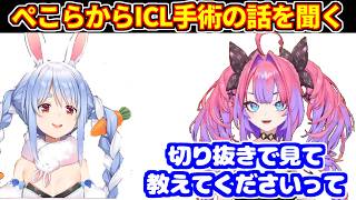 ぺこらからICLの話を聞くヴィヴィ＋冷めチキ…【ホロライブ切り抜き/綺々羅々ヴィヴィ】