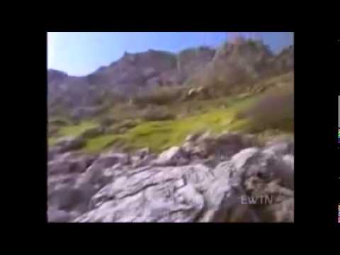 download lagu mp3 mp4 Knights Of Saint John Cross, download lagu Knights Of Saint John Cross gratis, unduh video klip Knights Of Saint John Cross