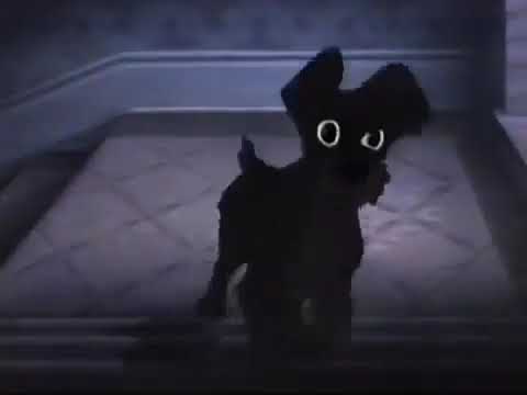 video 22 Rat Scene