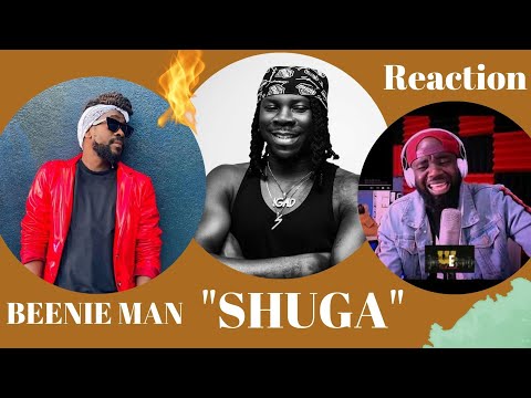 Stonebwoy - Shuga (official video) ft. Beenie man || Reaction video!!