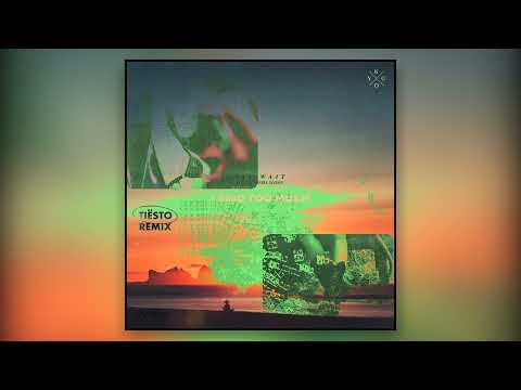 Mike Williams x Kygo x Halsey - I Said Too Much x I'll Wait x You Should Be Sad (Nick Niroz Mashup)