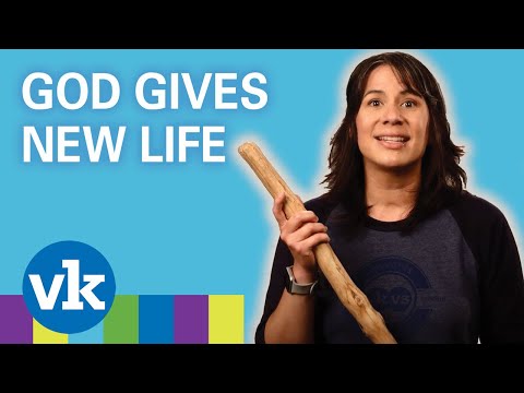 God Gives New Life | Elementary Lesson with Ms. Elaine | Vineyard Kids | Sept. 26, 2020