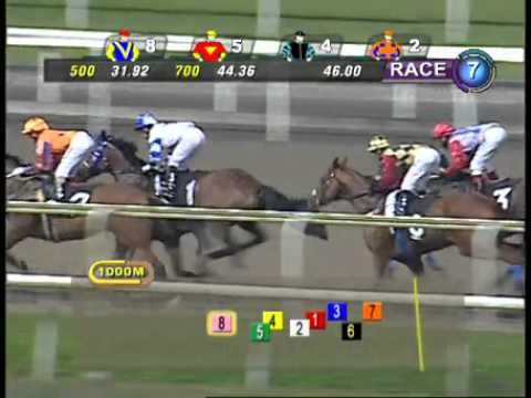 10 Aug 2012 - Singapore Class 3 - 1700M (Polytrack)