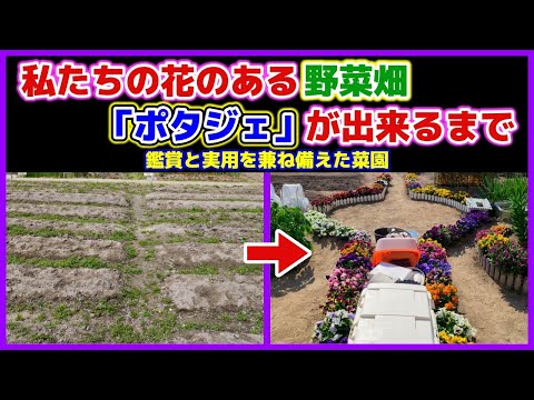 1月に菜園に植える野菜は何ですか？私たちの詳細なガイド!  庭園