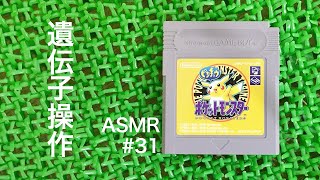 ASMR | こそこそ旅する GBのポケモンピカチュウ版 #31 （ささやき声ゲーム実況）