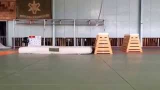 Is this rail flip?