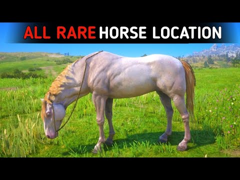 All 14 Rare Horse Locations - RDR2