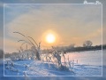 П.И.Чайковский - Времена года. Ноябрь. На тройке. 