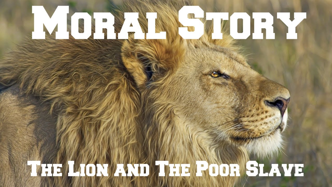 Putar video Moral Story || 10 || The Lion and The Poor Slave || English sekarang Moral Story || 10 || The Lion and The Poor Slave || English