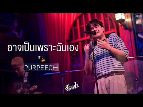 อาจเป็นเพราะฉันเอง I หากจะเพียงขอ I ทิ้งไว้อย่างพอใจ I ภาพถ่ายวันวาน - PURPEECH 🌻 「Live at สาสมใจ 」