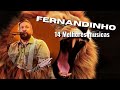 Fernandinho 14 Melhores Atualizada 2023