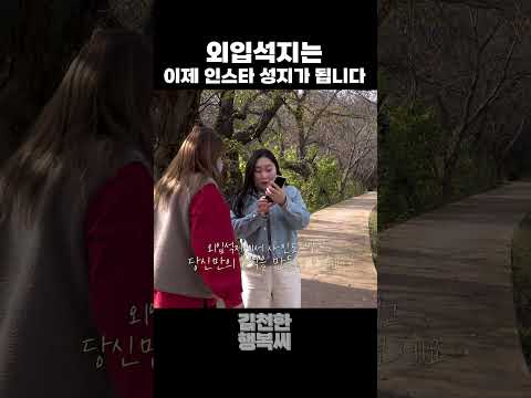 외입석지,,, 벚꽃 명소지만 미리 홍보함